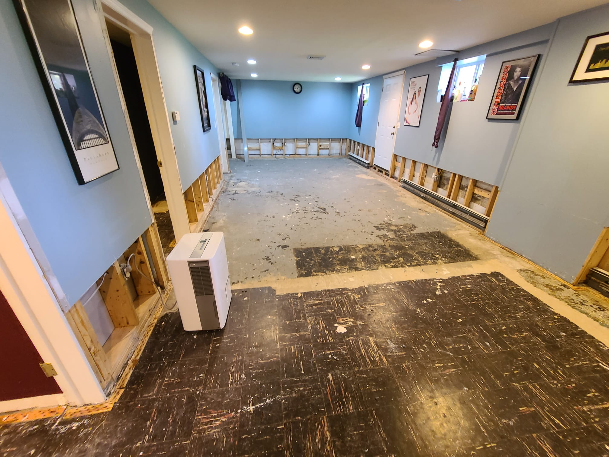 Proyecto de remodelación 242